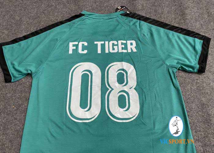 FC TIGER - BÌNH THUẬN - Hình ảnh 6