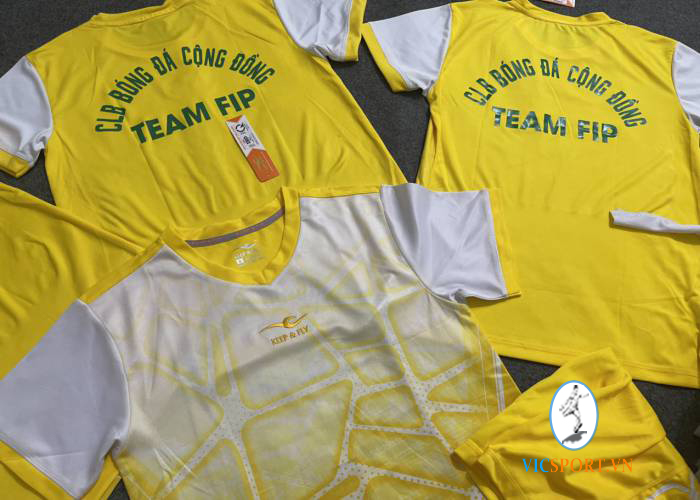 BÓNG ĐÁ CỘNG ĐỒNG TEAM FIP - QUẢNG NINH - Hình ảnh 2