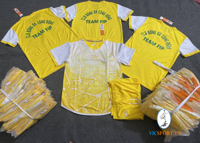 BÓNG ĐÁ CỘNG ĐỒNG TEAM FIP - QUẢNG NINH - Hình ảnh 6