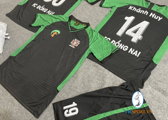 FC ĐỒNG NAI - Hình ảnh 4