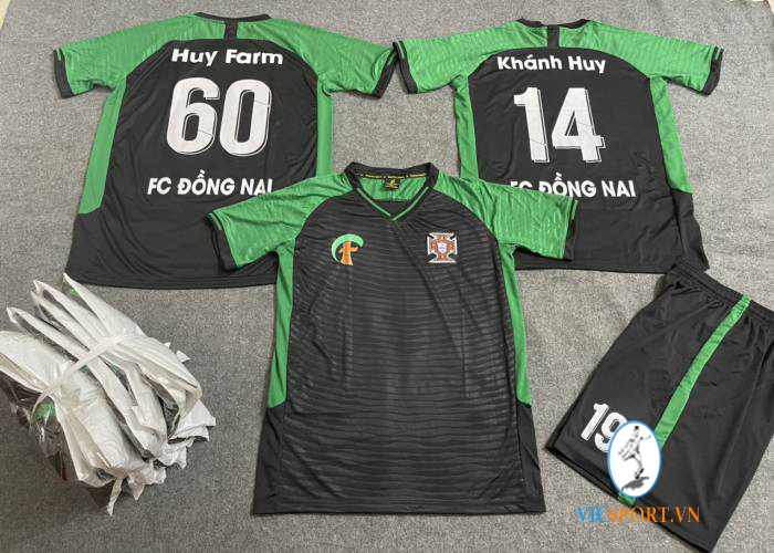 FC ĐỒNG NAI - Hình ảnh 3