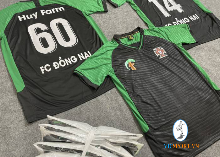 FC ĐỒNG NAI - Hình ảnh 2