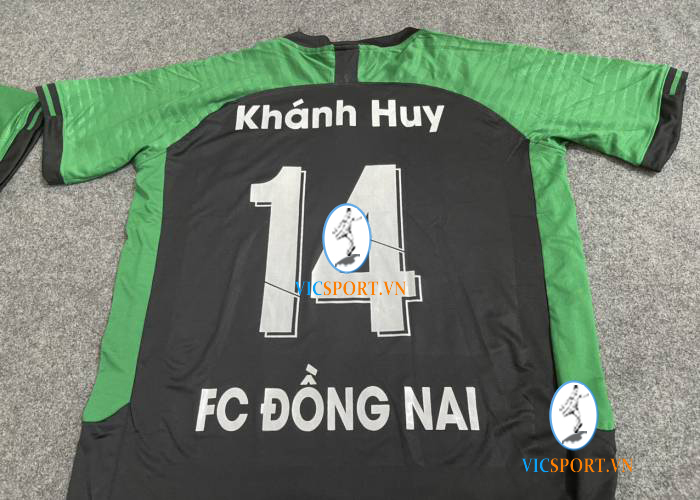 FC ĐỒNG NAI - Hình ảnh 6