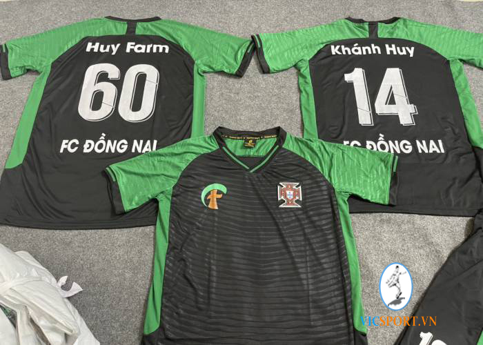 FC ĐỒNG NAI - Hình ảnh 7