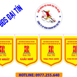 CỜ CÚP GBĐ NAM ĐẠI TÍN HCM