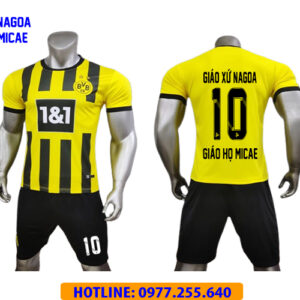 GIÁO HỌ MICAE - GX.NAGOA