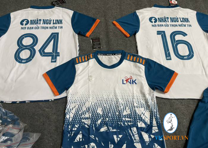 NHẬT NGỮ LINK - PASSAT TRẮNG - Hình ảnh 7