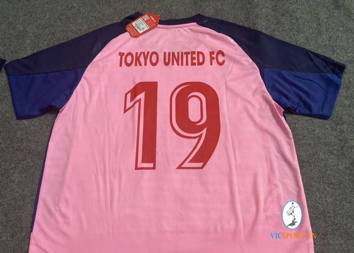 TOKYO UNITED FC - Hình ảnh 5