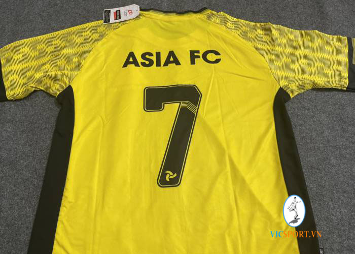 ASIA FC - Hình ảnh 2