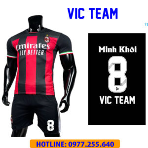 VIC TEAM