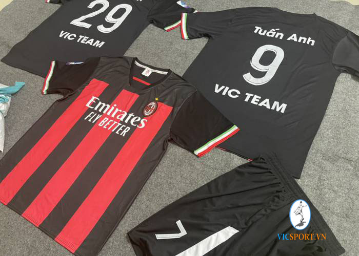 VIC TEAM - Hình ảnh 3