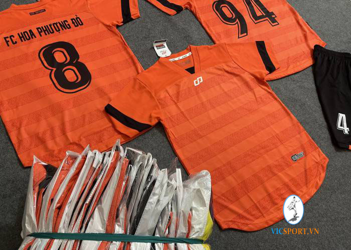 FC HOA PHƯỢNG ĐỎ - BÌNH THẠNH - Hình ảnh 2