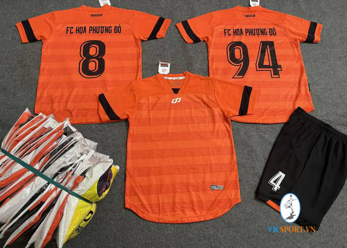 FC HOA PHƯỢNG ĐỎ - BÌNH THẠNH - Hình ảnh 7