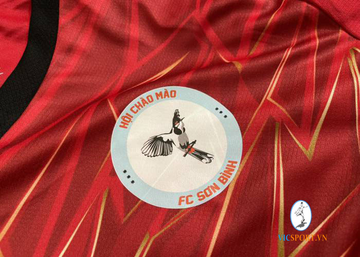 FC SƠN BÌNH - HỘI CHÀO MÀO - Hình ảnh 6