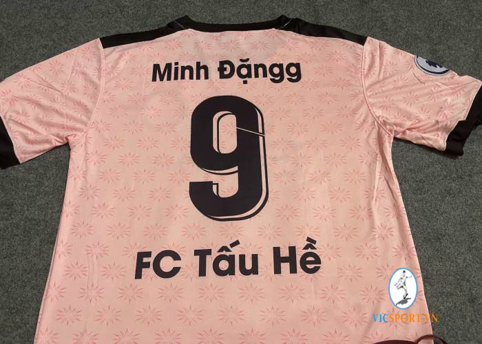 FC TẤU HỀ - Hình ảnh 3