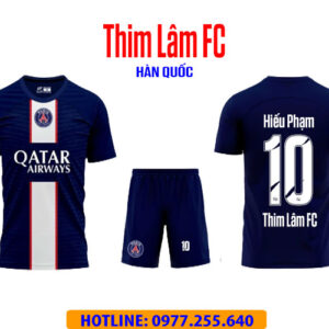 THIM LÂM FC tại Hàn Quốc