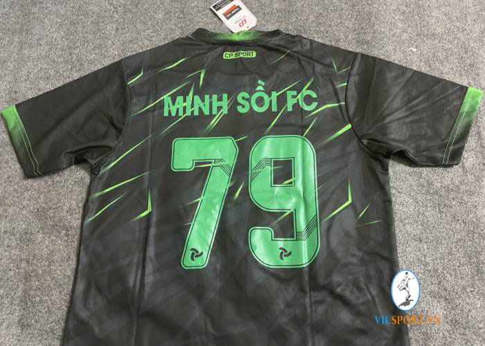 MINH SỒI FC - Hình ảnh 2