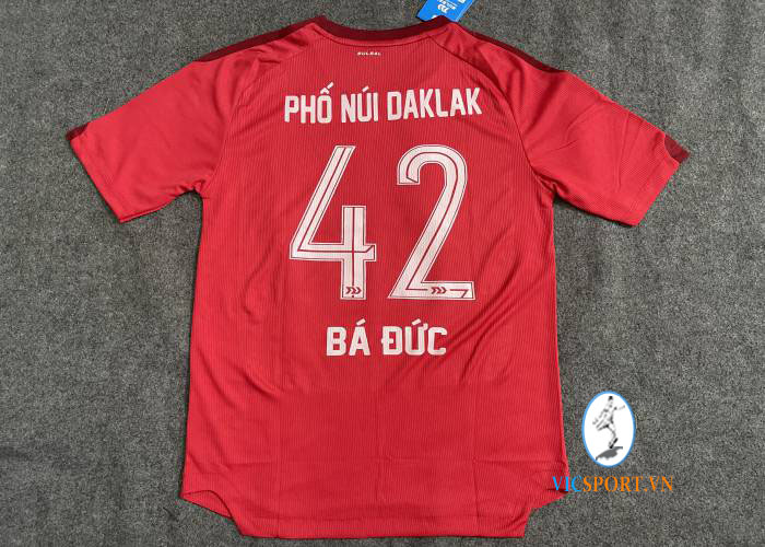 PHỐ NÚI DAKLAK - NHẬT BẢN - Hình ảnh 3