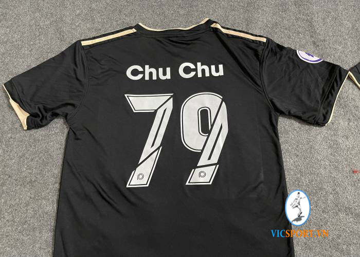 ĐAN VIỆN XITÔ - MU ĐEN - Hình ảnh 2