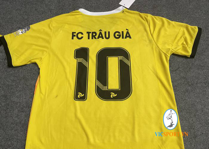 TRÂU GIÀ FC - Hình ảnh 5