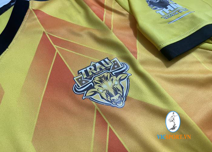 TRÂU GIÀ FC - Hình ảnh 7