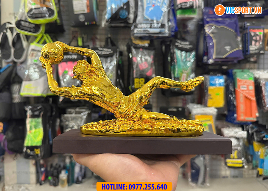 Biểu tượng Găng Tay Vàng - Thủ Môn Xuất Sắc - Hình ảnh 6