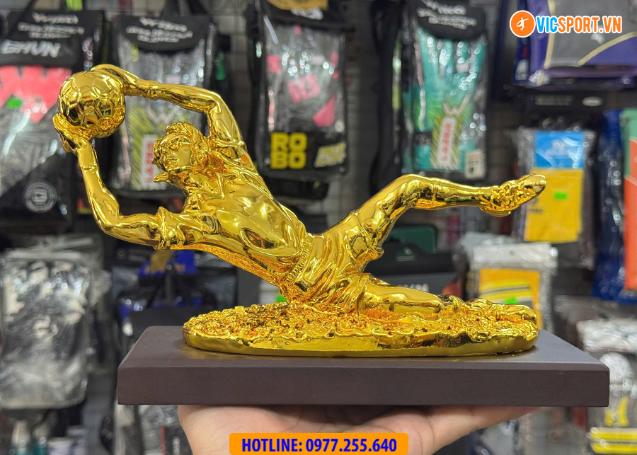Biểu tượng Găng Tay Vàng - Thủ Môn Xuất Sắc - Hình ảnh 10