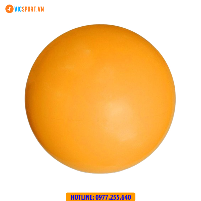 Quả bóng chuyền hơi Động Lực Jatan - Hình ảnh 17