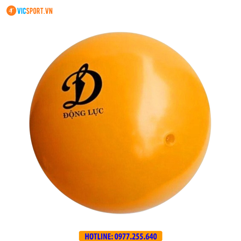 Quả bóng chuyền hơi Động Lực Jatan - Hình ảnh 16