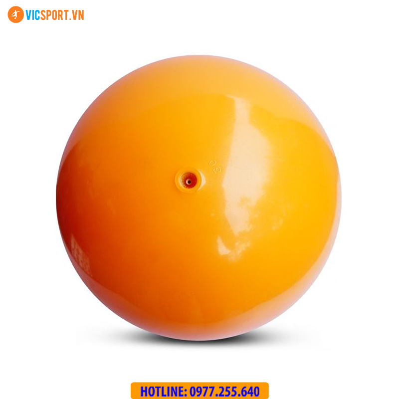 Quả bóng chuyền hơi Động Lực Jatan - Hình ảnh 11