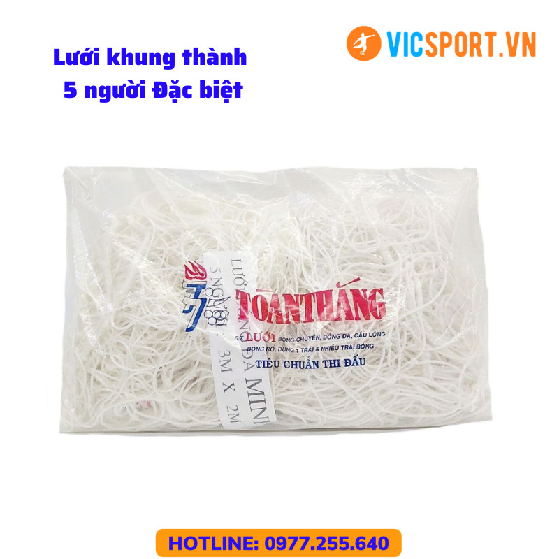 Lưới khung thành bóng đá Toàn Thắng - Hình ảnh 8