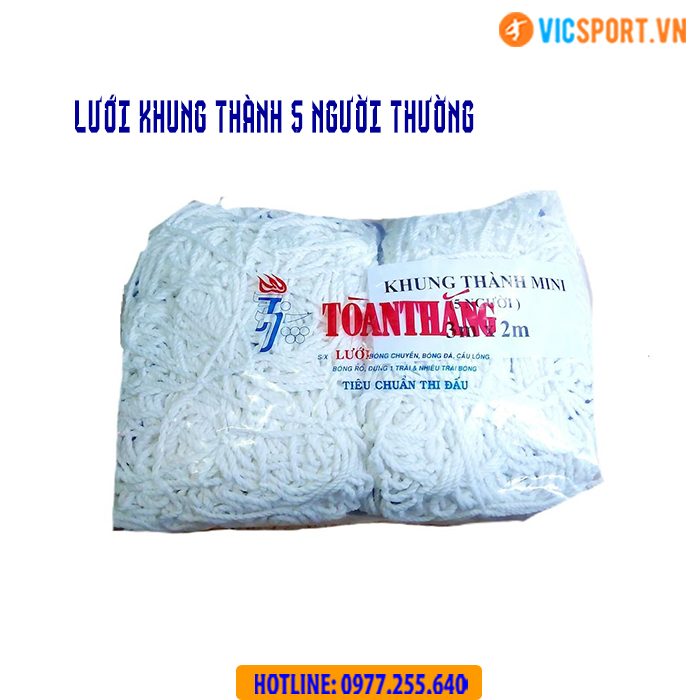 Lưới khung thành bóng đá Toàn Thắng - Hình ảnh 7