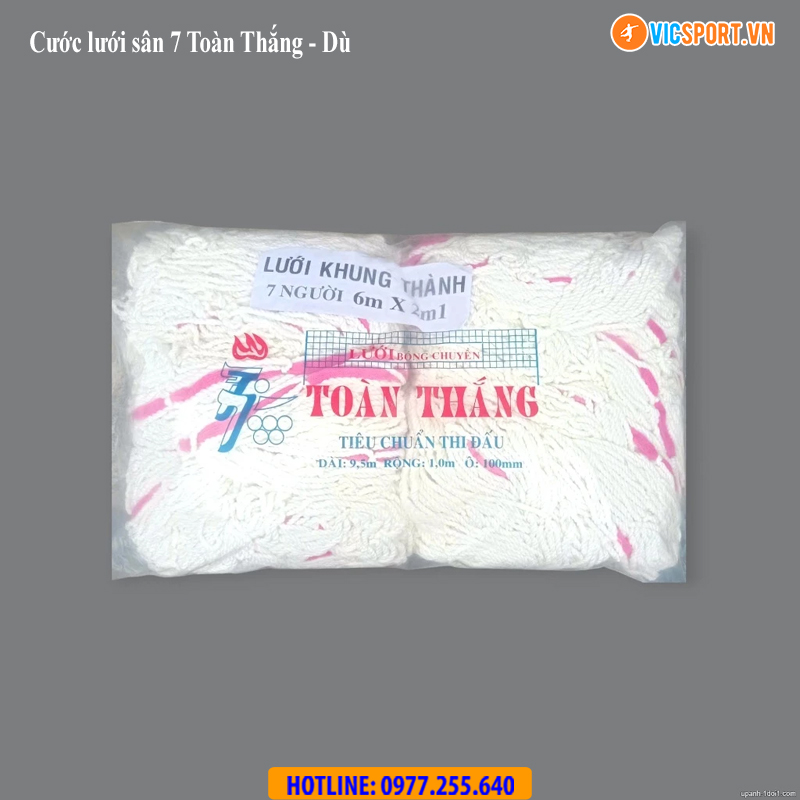 Lưới khung thành bóng đá Toàn Thắng - Hình ảnh 10