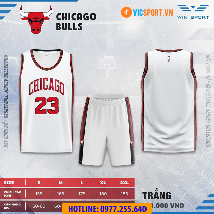 Quần áo bóng rổ người lớn Chicago - Hình ảnh 4