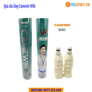 Hộp quả cầu lông Camewin đủ loại
