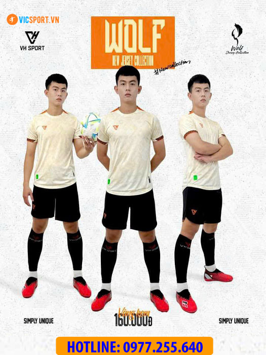 Áo đá banh không logo VH Wolf - Hình ảnh 39