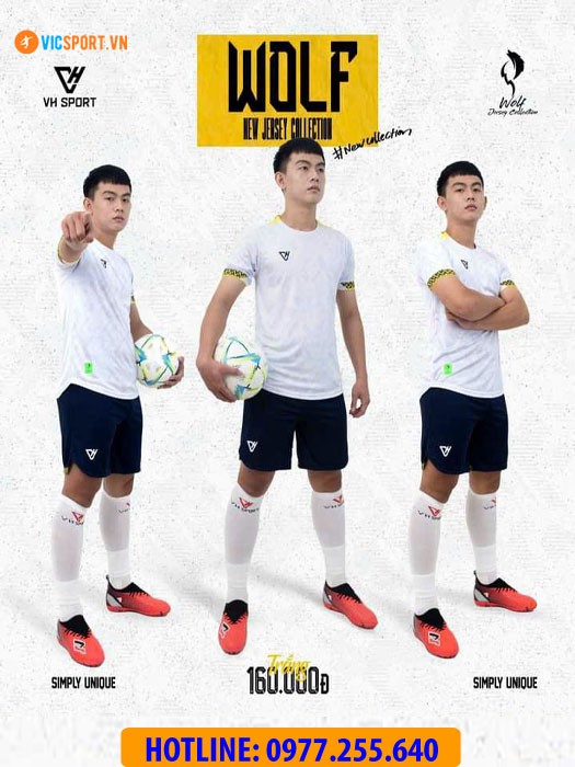 Áo đá banh không logo VH Wolf - Hình ảnh 41