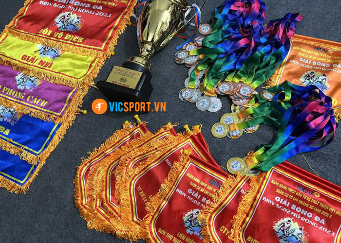 Huy chương Bánh Răng đa bộ môn - Hình ảnh 10