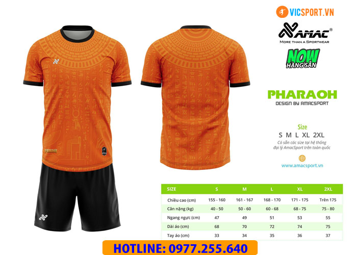 Áo đá banh thiết kế Amac Pharoah - Hình ảnh 11