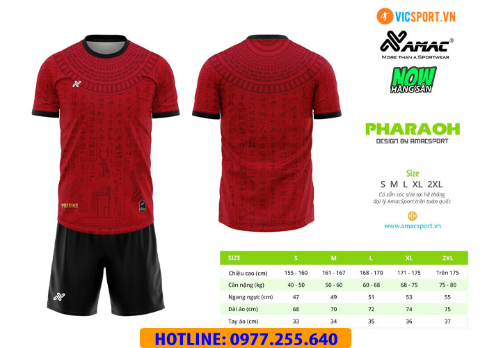 Áo đá banh thiết kế Amac Pharoah - Hình ảnh 14