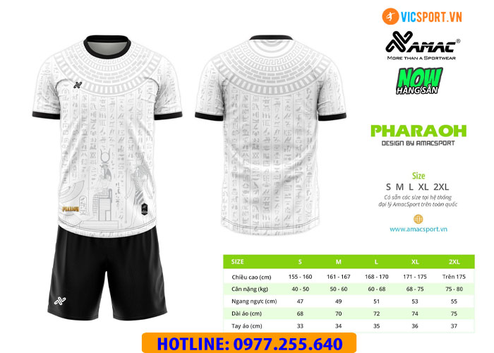 Áo đá banh thiết kế Amac Pharoah - Hình ảnh 10