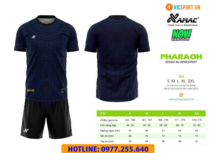 Áo đá banh thiết kế Amac Pharoah - Hình ảnh 9