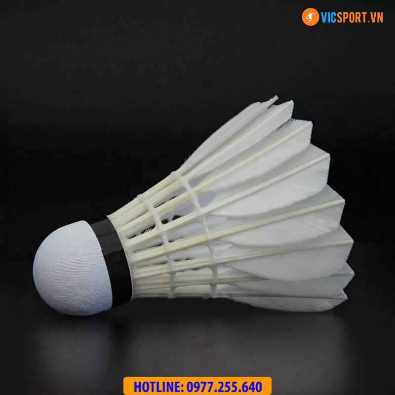 Hộp quả cầu lông Weiyusi Alpha A900 - Hình ảnh 6
