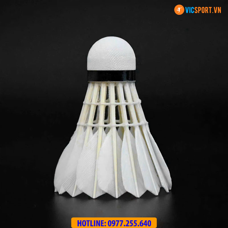 Hộp quả cầu lông Weiyusi Alpha A900 - Hình ảnh 5