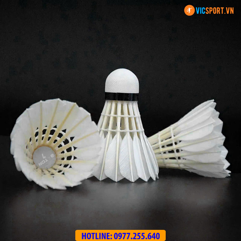 Hộp quả cầu lông Weiyusi Alpha A900 - Hình ảnh 7
