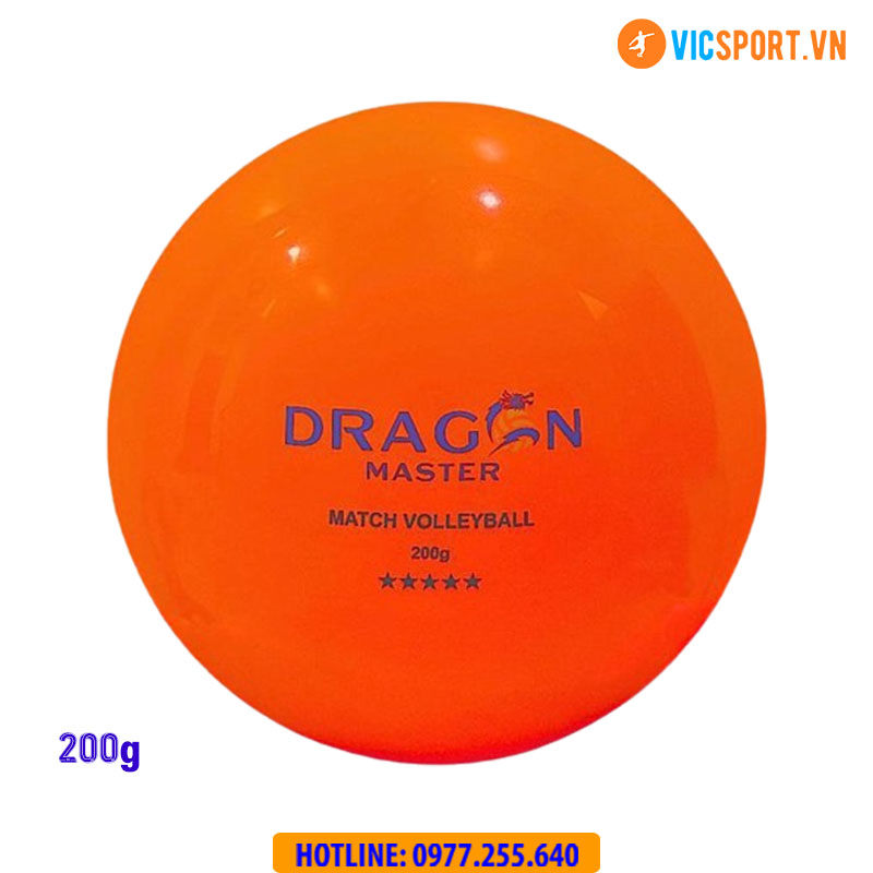 Quả bóng chuyền hơi Thăng Long Dragon Master chính hãng - Hình ảnh 6