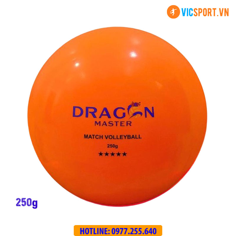 Quả bóng chuyền hơi Thăng Long Dragon Master chính hãng - Hình ảnh 5