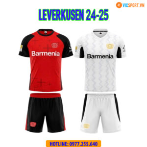 Áo đá banh Clb Bayer 04 Leverkusen mùa giải 2024-2025