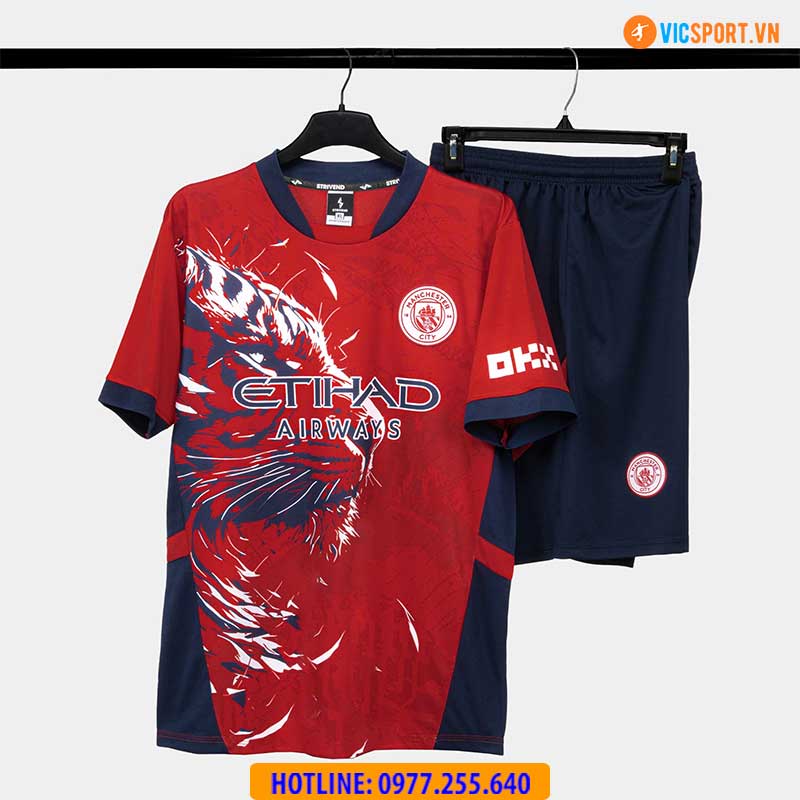 Áo đá banh Strivend Clb Man City mùa giải 2024-2025 - Hình ảnh 18