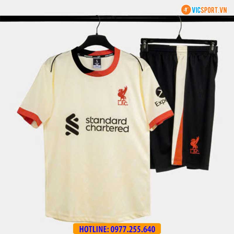 Áo đá banh Strivend Clb Liverpool mùa giải 2024-2025 - Hình ảnh 12